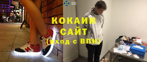 apvp Алексин