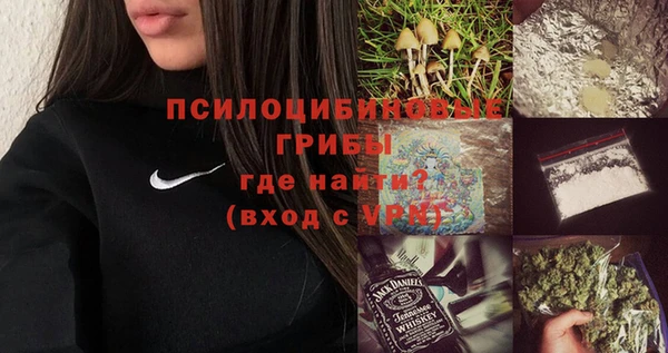 СК Алзамай