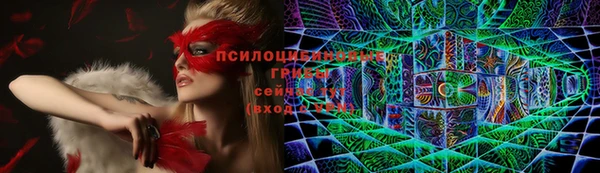 apvp Алексин
