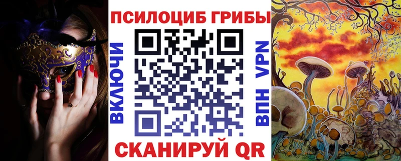 мориарти клад  закладка  Прохладный  Галлюциногенные грибы прущие грибы  OMG ССЫЛКА 